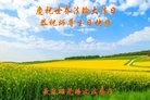 ���ֹ�,�����󷨵��ӹ������編�ִ�����ʦ�𻪵�(20��)