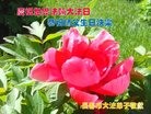 ���ֹ�,�����󷨵��ӹ������編�ִ�����ʦ�𻪵�(20��)