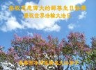 ���ֹ�,�����󷨵��ӹ������編�ִ�����ʦ�𻪵�(20��)