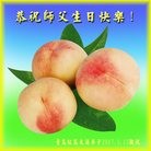 ���ֹ�,�ൺ�󷨵��ӹ������編�ִ�����ʦ�𻪵�(22��)