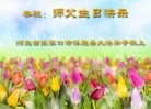 ���ֹ�,�żҿڴ󷨵��ӹ������編�ִ�����ʦ�𻪵�(20��)