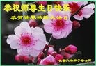 ���ֹ�,�����󷨵��ӹ������編�ִ�����ʦ�𻪵�(19��)