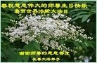 ���ֹ�,�����󷨵��ӹ������編�ִ�����ʦ�𻪵�(19��)
