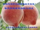 ���ֹ�,����󷨵��ӹ������編�ִ�����ʦ�𻪵�(20��)