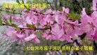 ���ֹ�,�������󷨵��ӹ������編�ִ�����ʦ�𻪵�(23��)