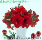 ���ֹ�,����󷨵��ӹ������編�ִ�����ʦ�𻪵�(24��)