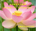 ���ֹ�,�������󷨵��ӹ������編�ִ�����ʦ�𻪵�(20��)
