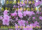���ֹ�,�������󷨵��ӹ������編�ִ�����ʦ�𻪵�(20��)