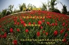 ���ֹ�,�ӱ��󷨵��ӹ������編�ִ�����ʦ�𻪵�(20��)