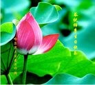 ���ֹ�,�������󷨵��ӹ������編�ִ�����ʦ�𻪵�(20��)