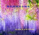 ���ֹ�,�������󷨵��ӹ������編�ִ�����ʦ�𻪵�(20��)