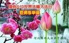 ���ֹ�,�ӱ��󷨵��ӹ������編�ִ�����ʦ�𻪵�(20��)