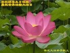 ���ֹ�,�����󷨵��ӹ������編�ִ�����ʦ�𻪵�(24��)