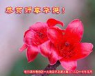���ֹ�,�������󷨵��ӹ������編�ִ�����ʦ�𻪵�(20��)