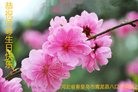 ���ֹ�,�ػʵ��󷨵��ӹ������編�ִ�����ʦ�𻪵�(22��)