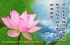 ���ֹ�,�����󷨵��ӹ������編�ִ�����ʦ�𻪵�(23��)