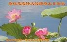 ���ֹ�,�����д󷨵��ӹ������編�ִ�����ʦ�𻪵�(19��)