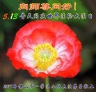 ���ֹ�,�㶫�󷨵��ӹ������編�ִ�����ʦ�𻪵�(25��)