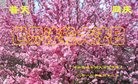 ���ֹ�,�����д󷨵��ӹ������編�ִ�����ʦ�𻪵�(19��)