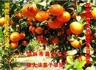 ���ֹ�,�����д󷨵��ӹ������編�ִ�����ʦ�𻪵�(19��)
