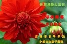 ���ֹ�,�����д󷨵��ӹ������編�ִ�����ʦ�𻪵�(19��)
