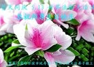 ���ֹ�,�������󷨵��ӹ������編�ִ�����ʦ�𻪵�(20��)