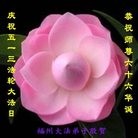 ���ֹ�,�����󷨵��ӹ������編�ִ�����ʦ�𻪵�(20��)