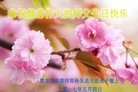 ���ֹ�,�������󷨵��ӹ������編�ִ�����ʦ�𻪵�(23��)