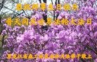 ���ֹ�,�������󷨵��ӹ������編�ִ�����ʦ�𻪵�(23��)