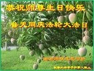���ֹ�,�����󷨵��ӹ������編�ִ�����ʦ�𻪵�(26��)