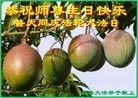 ���ֹ�,�����󷨵��ӹ������編�ִ�����ʦ�𻪵�(26��)