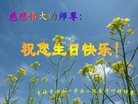���ֹ�,�����д󷨵��ӹ������編�ִ�����ʦ�𻪵�(19��)