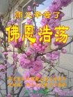 ���ֹ�,�ӱ��󷨵��ӹ������編�ִ�����ʦ�𻪵�(22��)