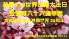 ���ֹ�,ʯ��ׯ�󷨵��ӹ������編�ִ�����ʦ�𻪵�(28��)