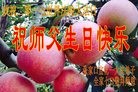 ���ֹ�,�żҿڴ󷨵��ӹ������編�ִ�����ʦ�𻪵�(20��)