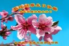 ���ֹ�,����ʡ�󷨵��ӹ������編�ִ�����ʦ�𻪵�(22��)