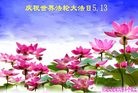 ���ֹ�,�ӱ��󷨵��ӹ������編�ִ�����ʦ�𻪵�(22��)