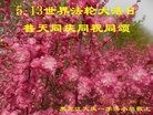 ���ֹ�,����󷨵��ӹ������編�ִ�����ʦ�𻪵�(19��)