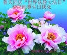 ���ֹ�,��ɽ�󷨵��ӹ������編�ִ�����ʦ�𻪵�(22��)