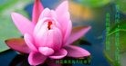 ���ֹ�,�ػʵ��󷨵��ӹ������編�ִ�����ʦ�𻪵�(23��)