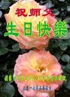 ���ֹ�,�żҿڴ󷨵��ӹ������編�ִ�����ʦ�𻪵�(25��)