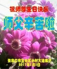 ���ֹ�,�żҿڴ󷨵��ӹ������編�ִ�����ʦ�𻪵�(22��)