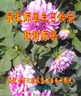 ���ֹ�,�żҿڴ󷨵��ӹ������編�ִ�����ʦ�𻪵�(22��)