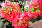 ���ֹ�,�żҿڴ󷨵��ӹ������編�ִ�����ʦ�𻪵�(22��)