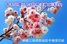 ���ֹ�,�����󷨵��ӹ������編�ִ�����ʦ�𻪵�(20��)