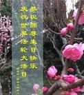 ���ֹ�,�����д󷨵��ӹ������編�ִ�����ʦ�𻪵�(20��)