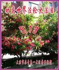 ���ֹ�,����󷨵��ӹ������編�ִ�����ʦ�𻪵�(26��)
