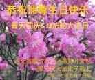 ���ֹ�,�ȷ��󷨵��ӹ������編�ִ�����ʦ�𻪵�(25��)