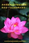 ���ֹ�,����󷨵��ӹ������編�ִ�����ʦ�𻪵�(26��)