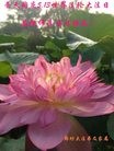 ���ֹ�,�ȷ��󷨵��ӹ������編�ִ�����ʦ�𻪵�(25��)